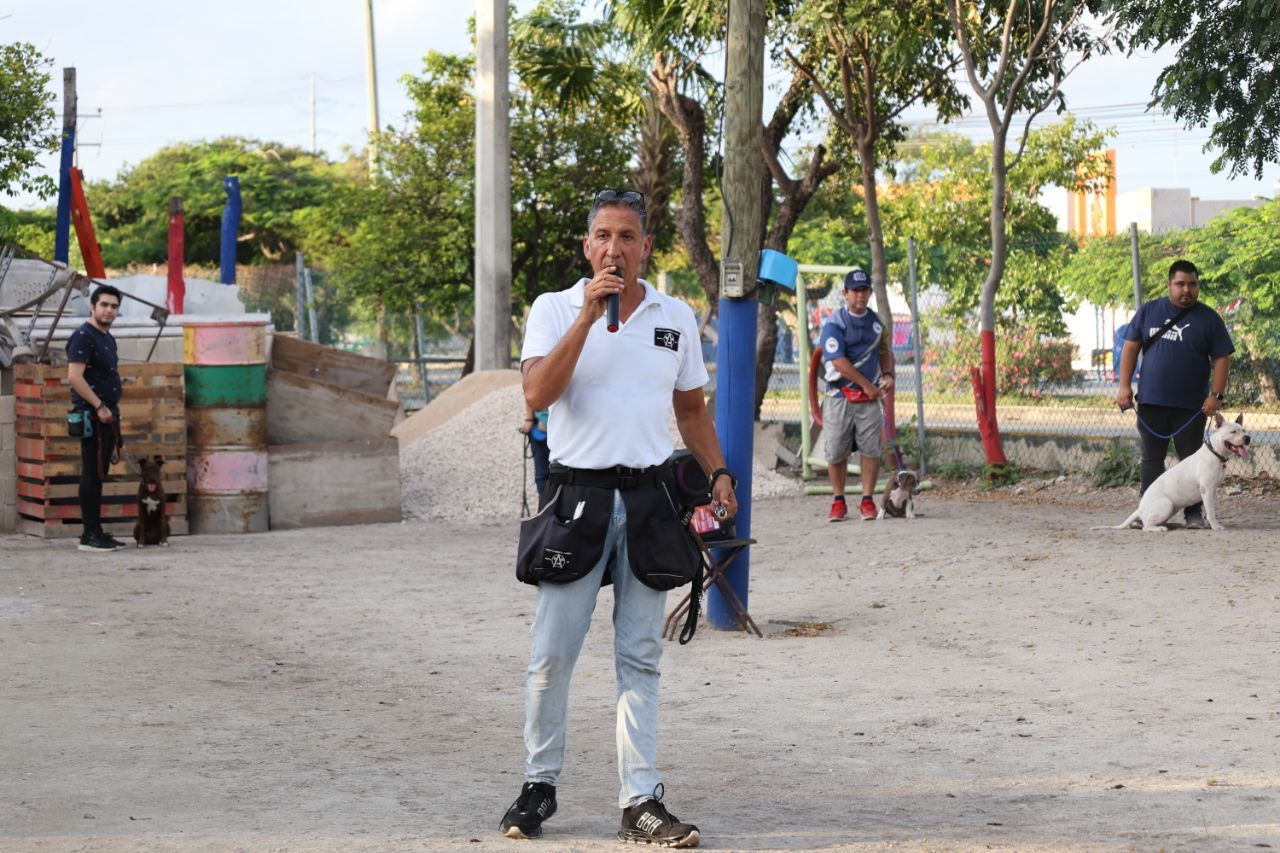 uploads/6/32/01 (777).Jpeg